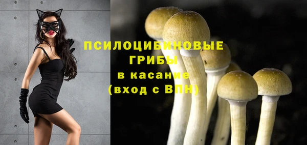 ГАЛЛЮЦИНОГЕННЫЕ ГРИБЫ Армянск