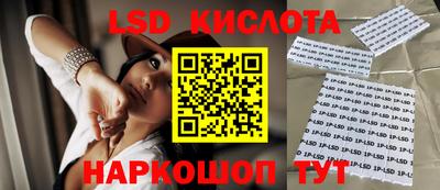гашик Кимры