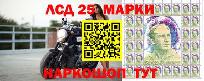 2c-b Кингисепп