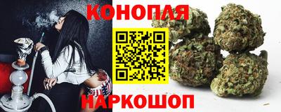 гашик Кимры