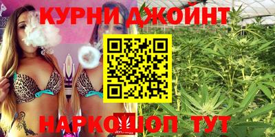 2c-b Кингисепп