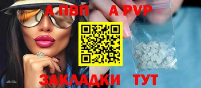 2c-b Кингисепп