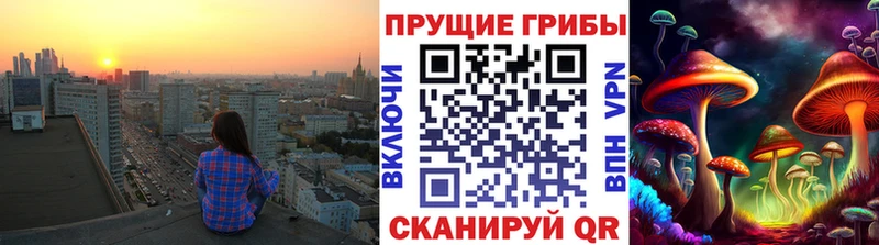 закладка  мега ТОР  Псилоцибиновые грибы Cubensis  Кузнецк 
